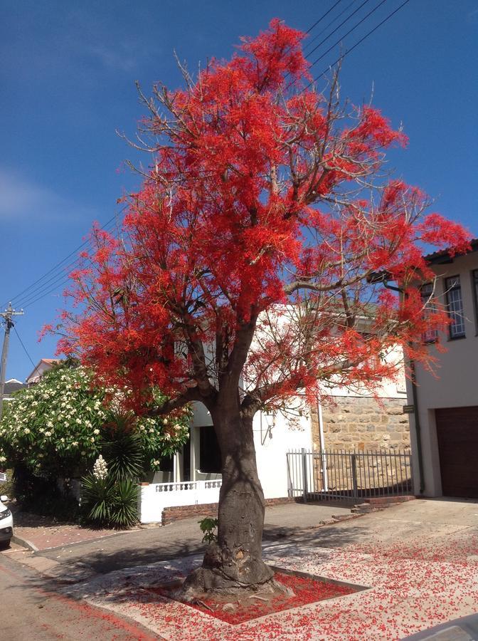 Park House Lodge Mossel Bay Kültér fotó